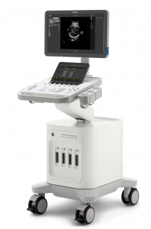 3300 Ultrasound ObGyn 4D